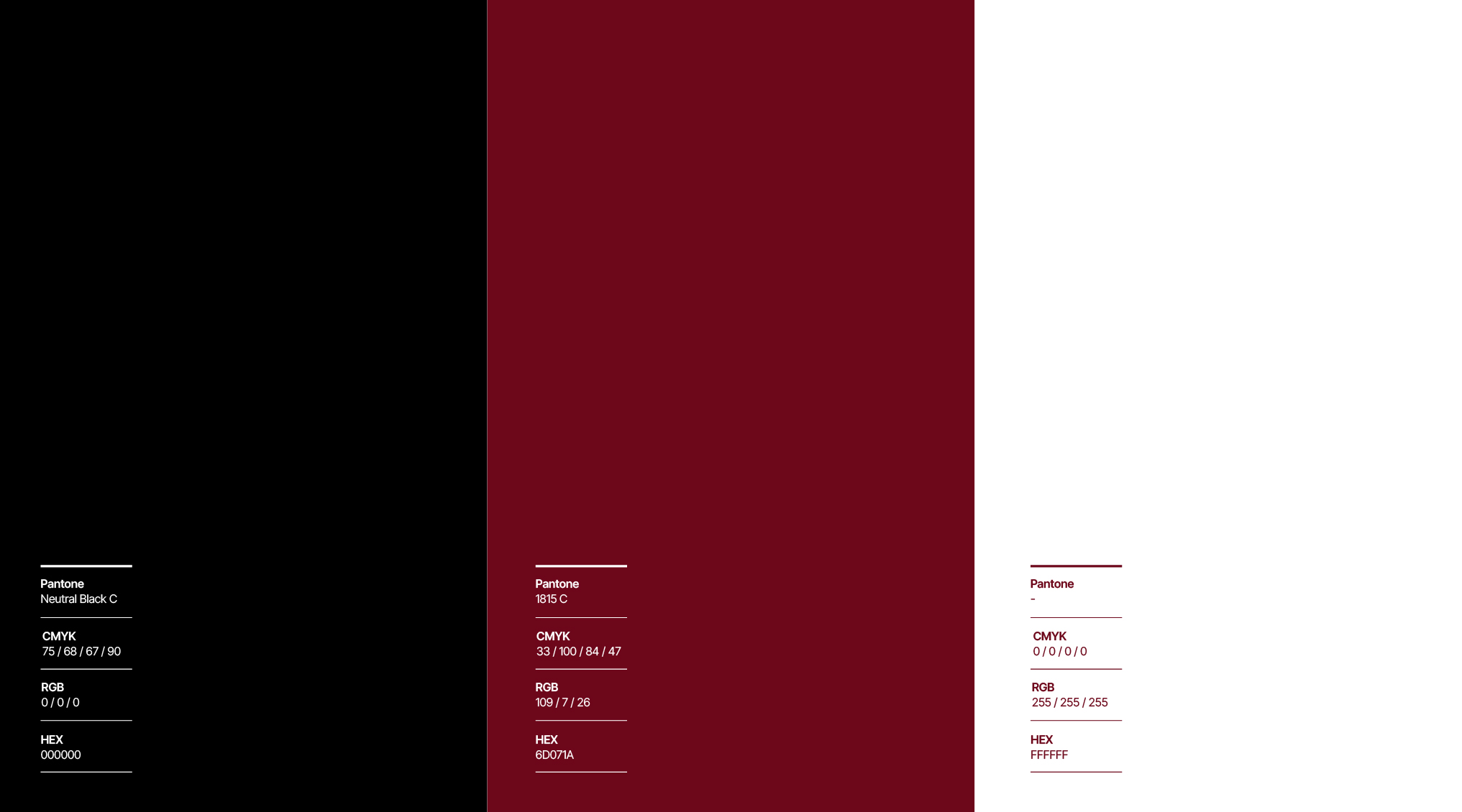 rebranding-san-vicenc-castellet-logotip